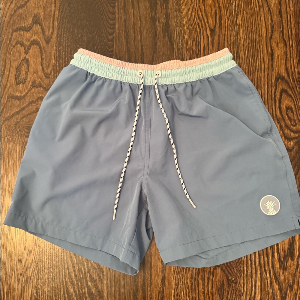 chubbies Light Blue Swim Trunks with Mint & Pink Waistband
